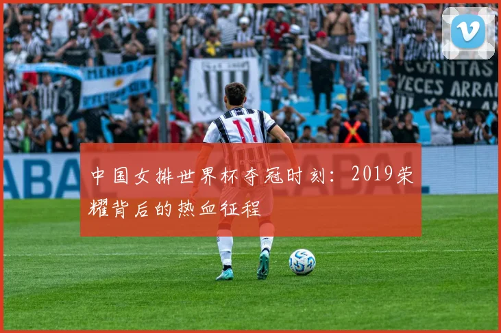 中国女排世界杯夺冠时刻：2019荣耀背后的热血征程